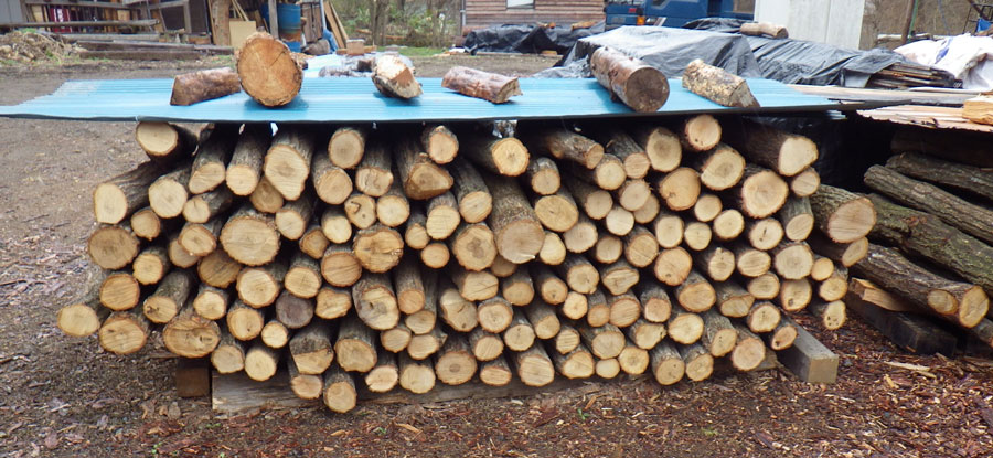 薪用材 楢 ナラ原木 1m3 長野県発